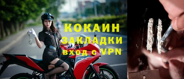 бошки Каменск-Шахтинский