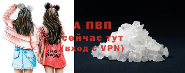 стафф Каменка
