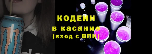 стафф Каменка