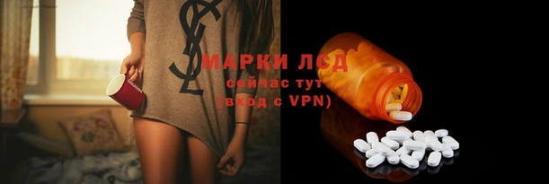 стафф Каменка