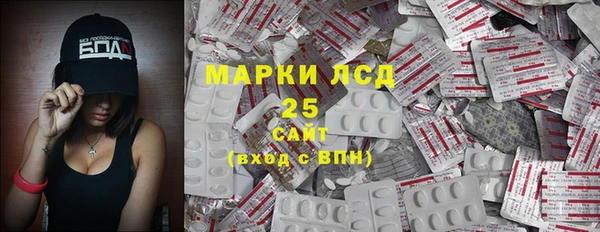 гашик Каменногорск
