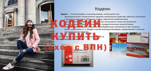 гашик Касимов