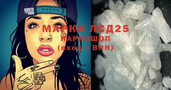 стафф Каменка