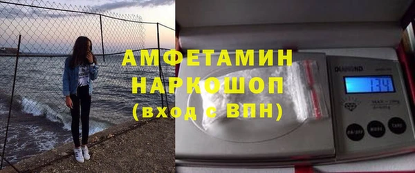 гашик Каменногорск