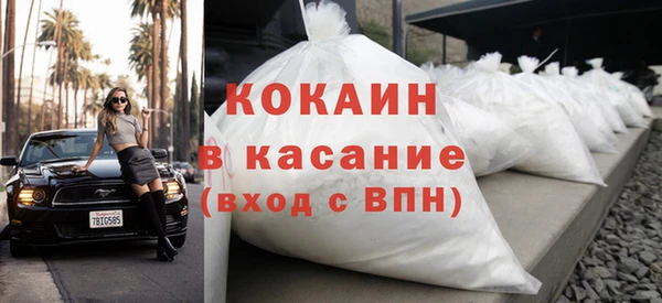 стафф Каменка